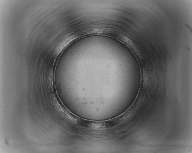 X0000103160794200809051658