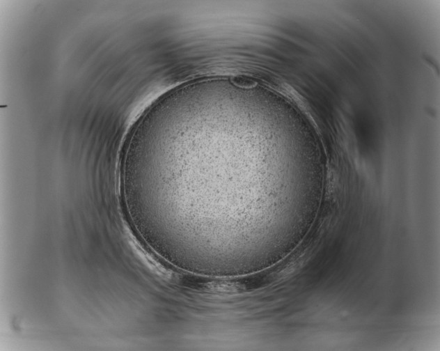 X0000103160795200809051658