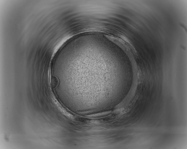 X0000103160796200809051658