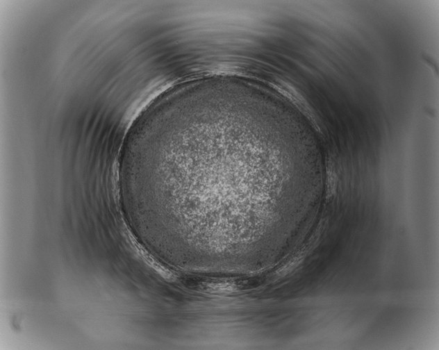 X0000103160798200809051658