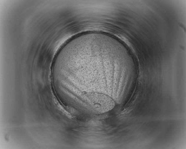 X0000103160799200809051658