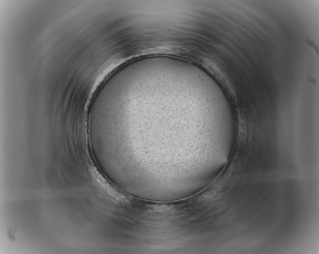 X0000103160800200809051658