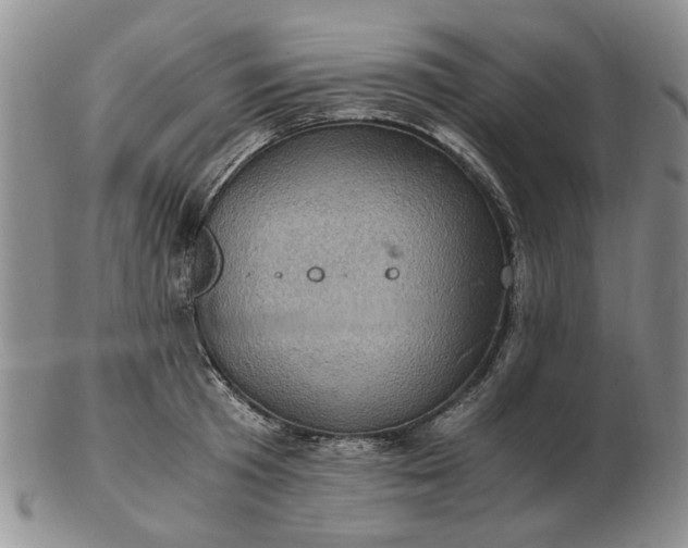 X0000103160801200809051658