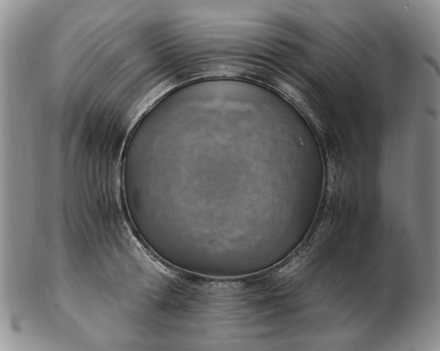 X0000103160802200809051658