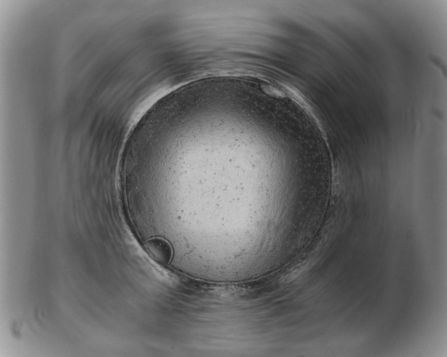 X0000103160803200809051658