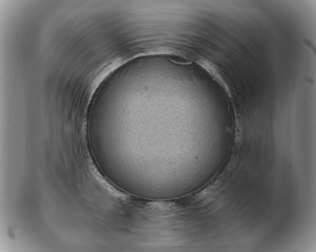 X0000103160805200809051658