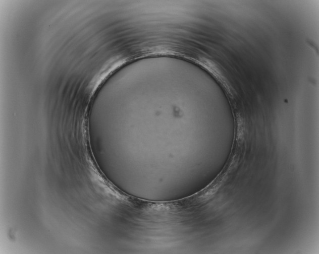 X0000103160806200809051658