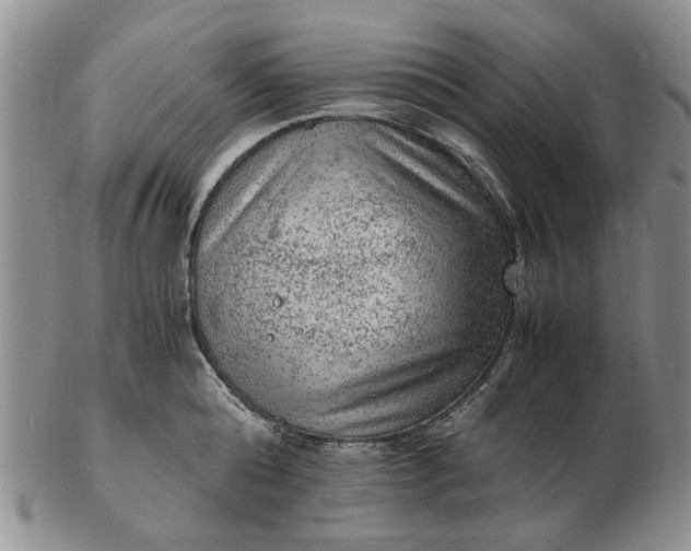 X0000103160808200809051658