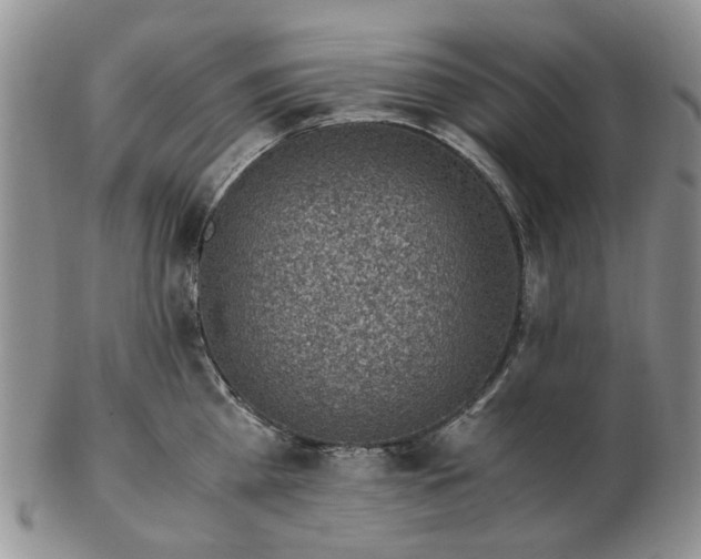 X0000103160809200809051658