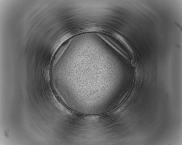 X0000103160810200809051658