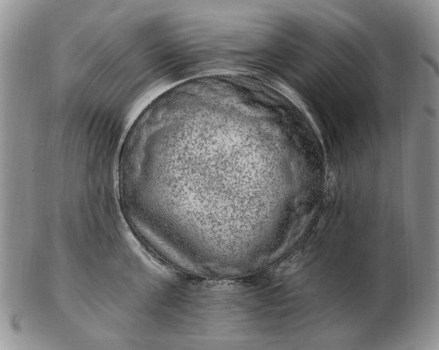 X0000103160811200809051658