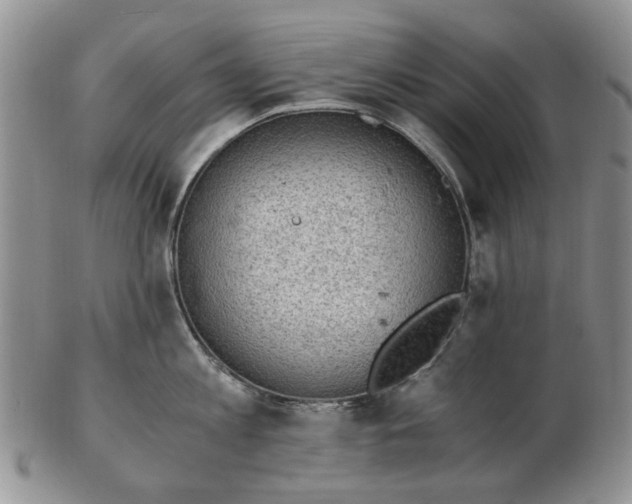 X0000103160813200809051658