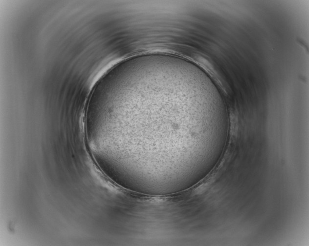 X0000103160814200809051658