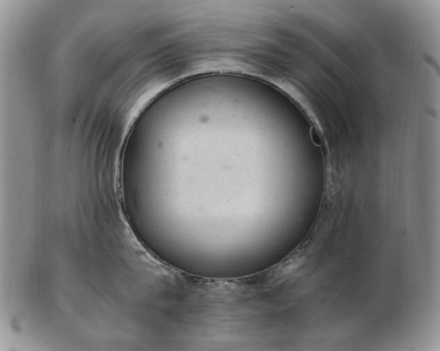 X0000103160815200809051658