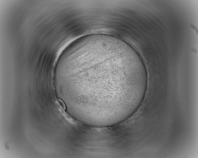 X0000103160816200809051658