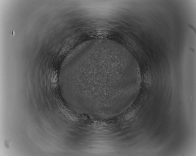 X0000103160818200809051657