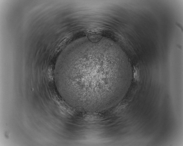 X0000103160819200809051657