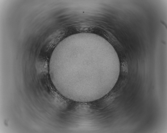 X0000103160820200809051657