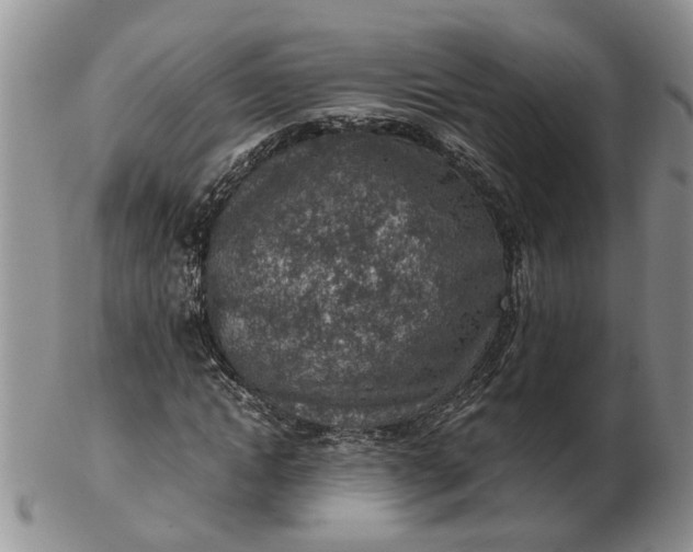 X0000103160822200809051657