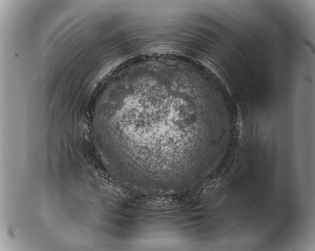 X0000103160823200809051657