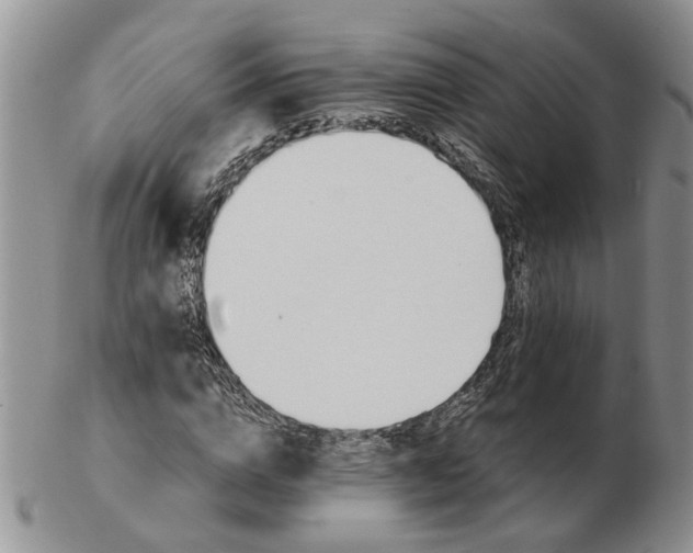 X0000103160824200809051657