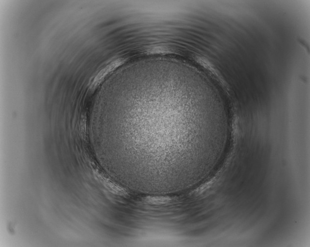 X0000103160825200809051657