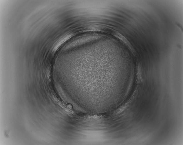 X0000103160826200809051657