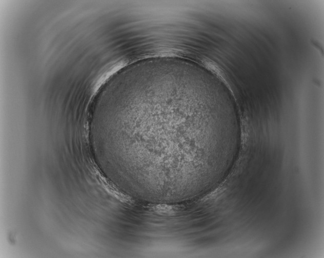 X0000103160827200809051657