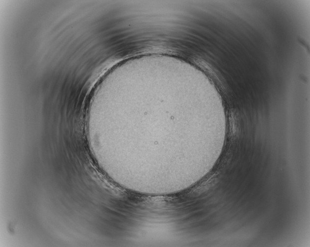 X0000103160828200809051657