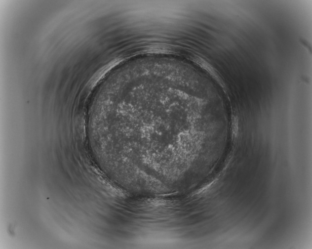 X0000103160829200809051657