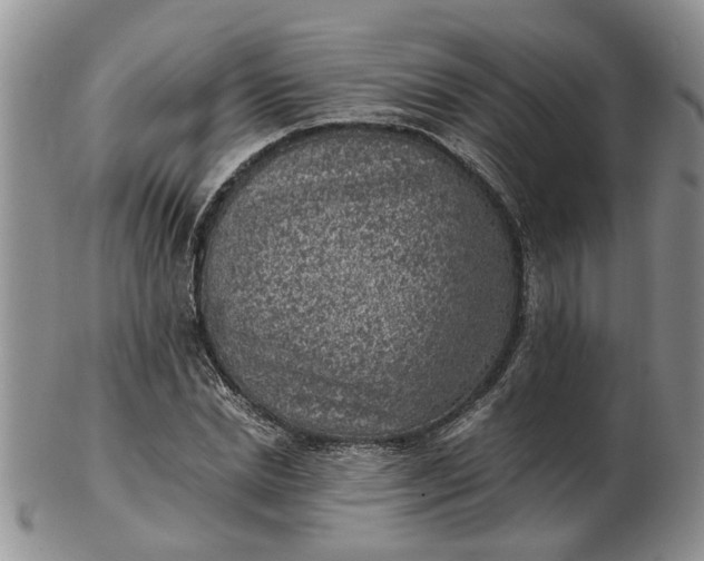 X0000103160830200809051657