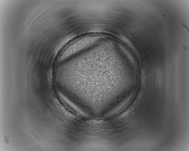 X0000103160831200809051657