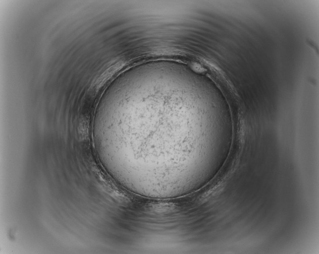 X0000103160833200809051657