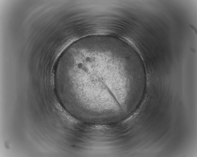 X0000103160835200809051657