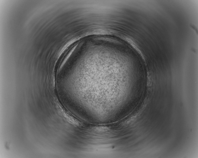 X0000103160837200809051657