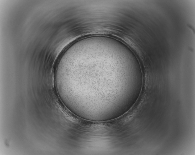 X0000103160838200809051658