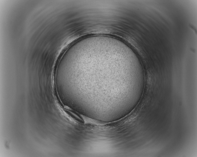 X0000103160840200809051658