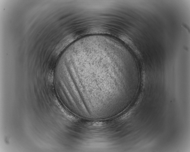 X0000103160841200809051658