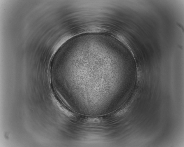 X0000103160843200809051658