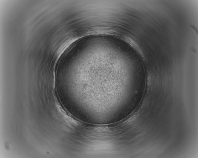 X0000103160844200809051658