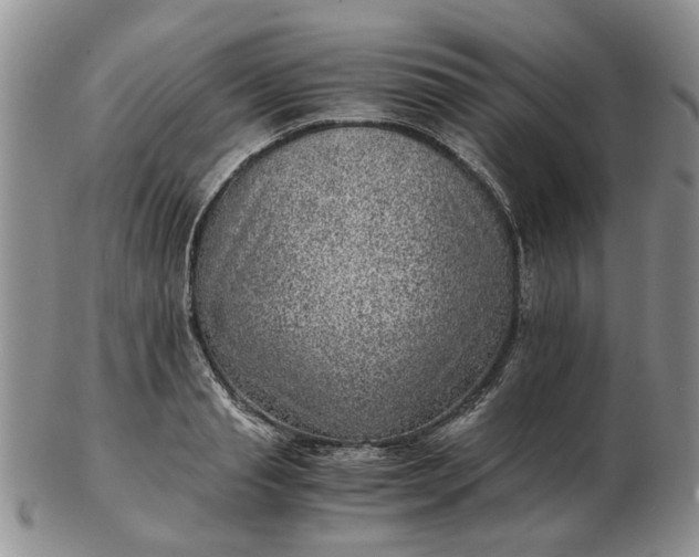 X0000103160845200809051658