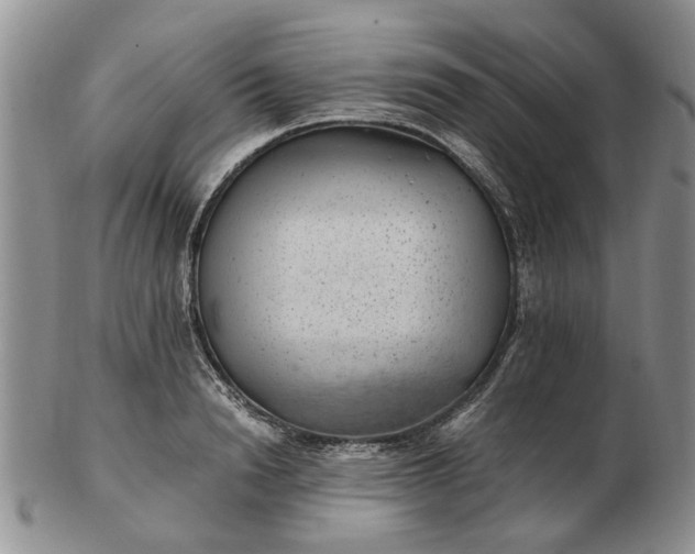 X0000103160846200809051658