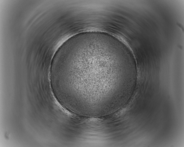 X0000103160847200809051658