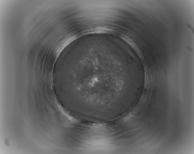 X0000103160850200809051658