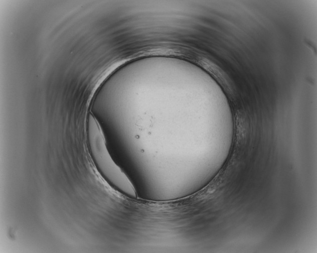 X0000103160852200809051658