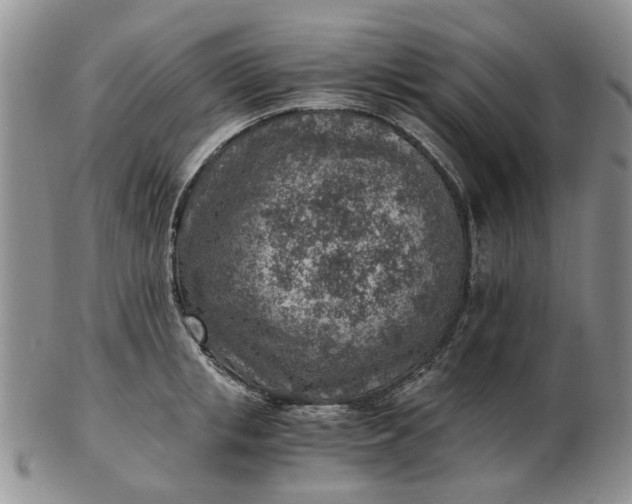 X0000103160853200809051658