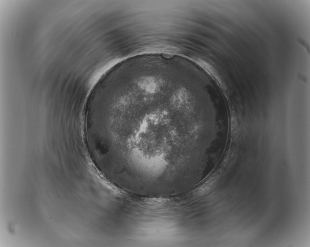 X0000103160854200809051658