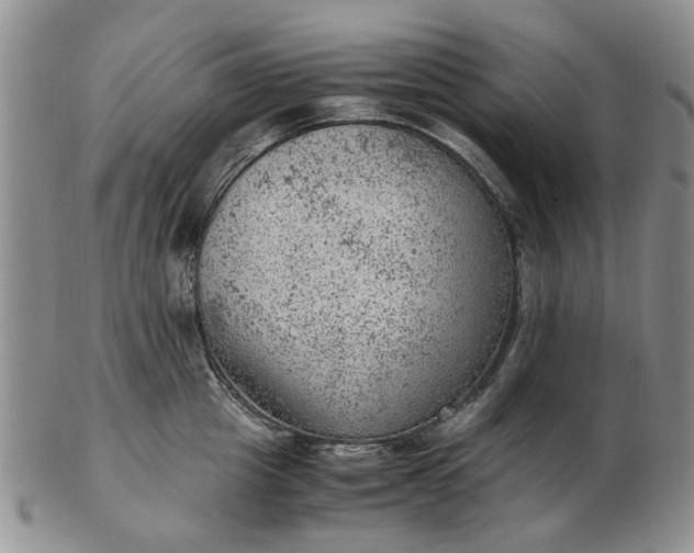 X0000103160857200809051658