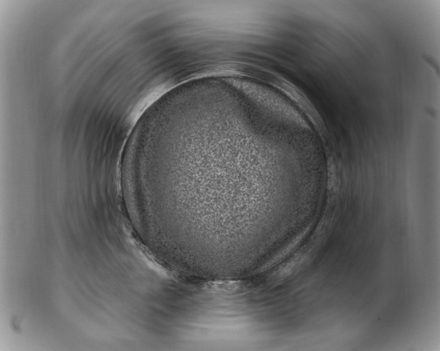 X0000103160858200809051658