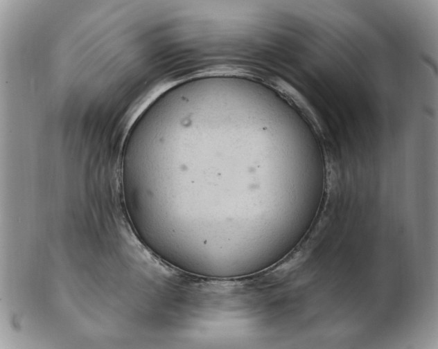 X0000103160860200809051658